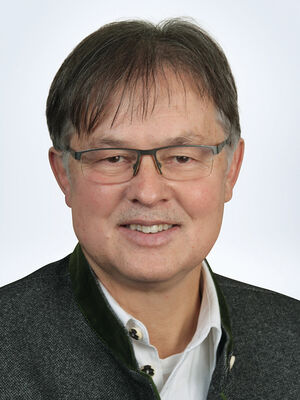 Wilfried Benedikt